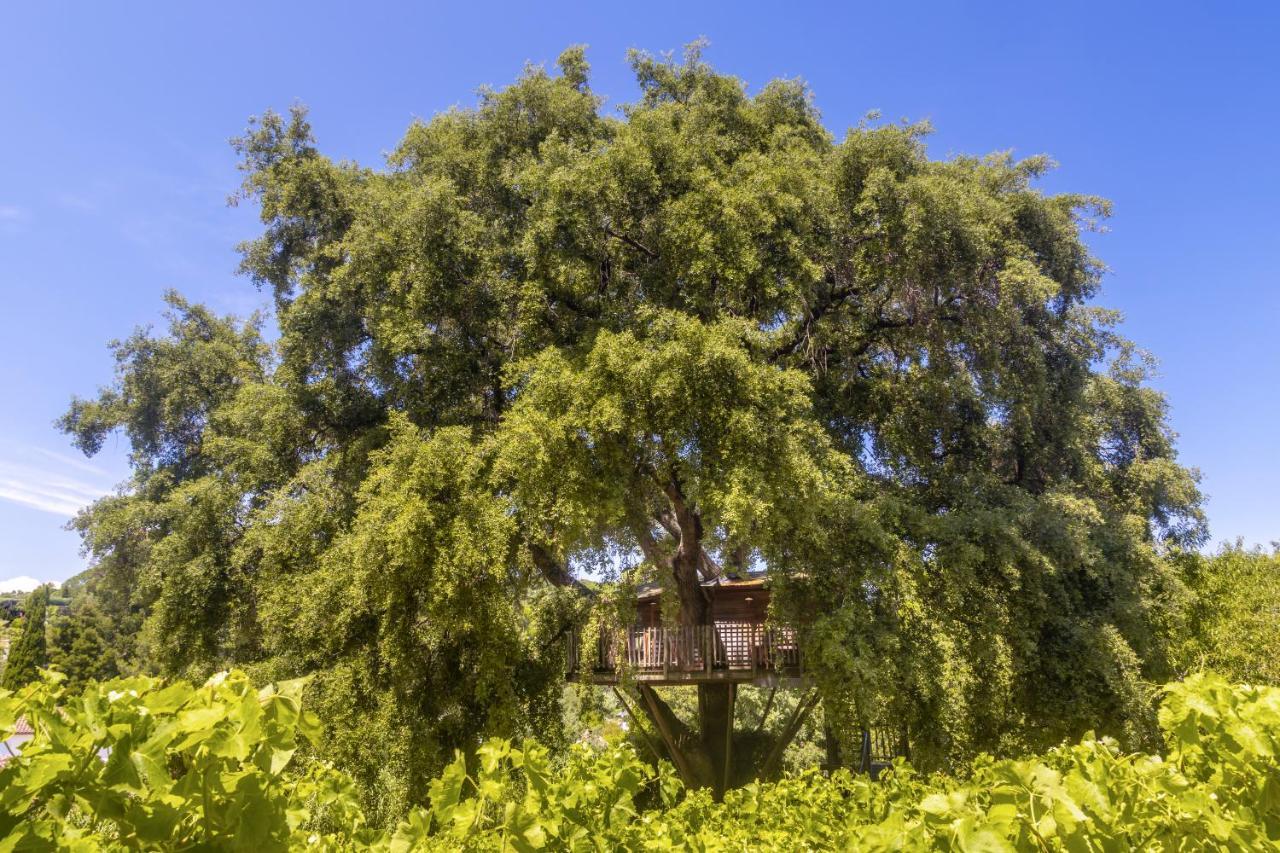 Tree House Access to Spa Private Beach