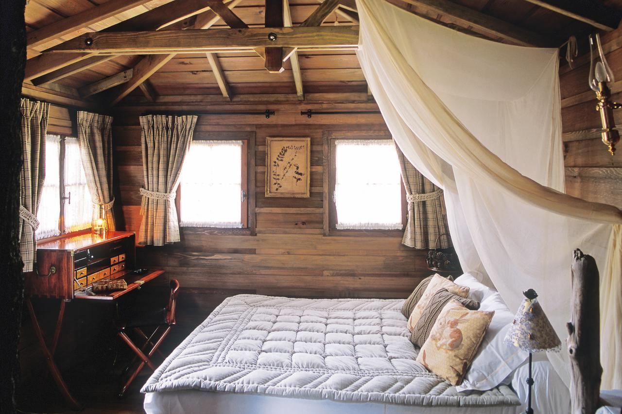 Tree House Access to Spa Private Beach