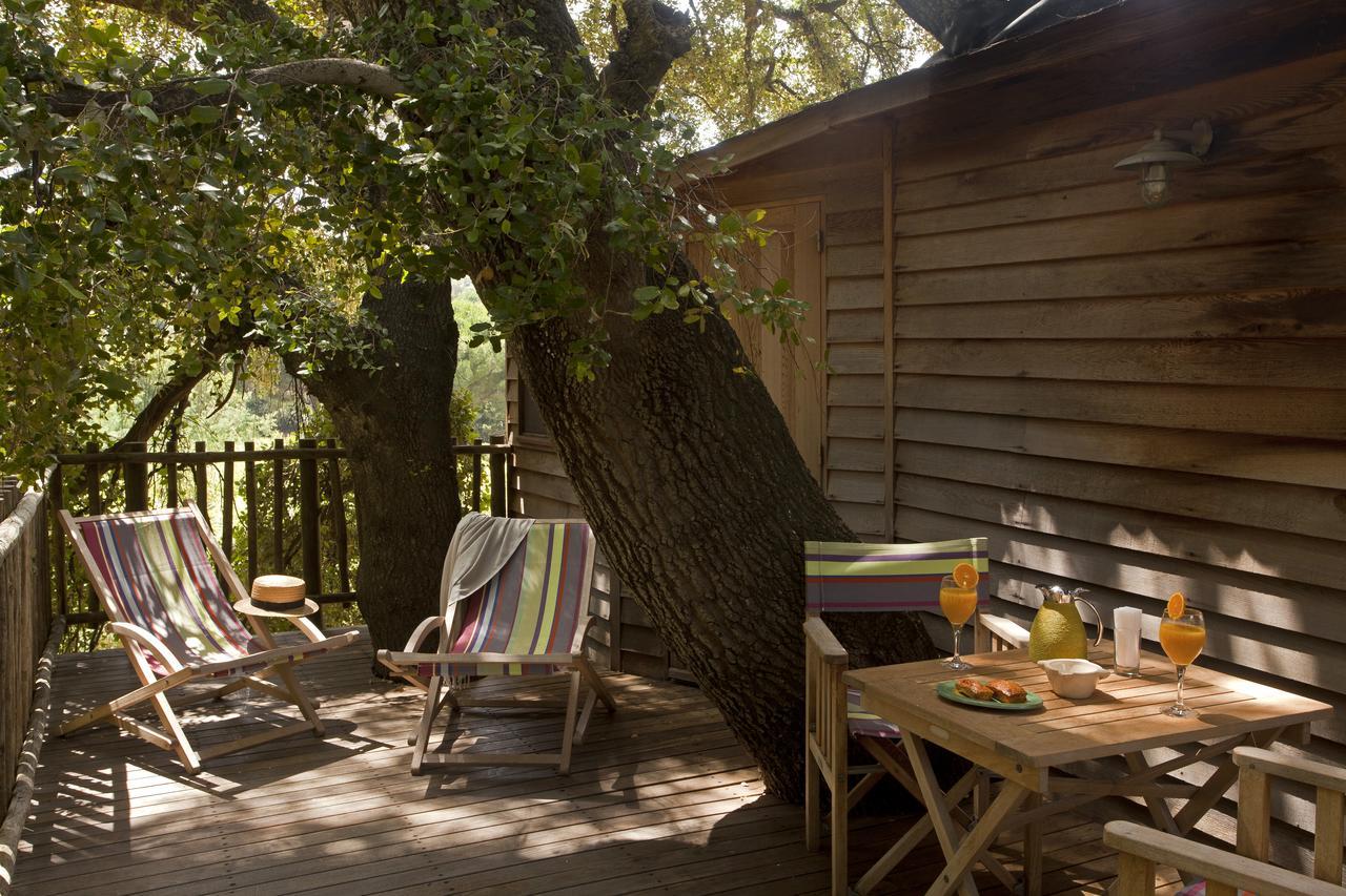 Tree House Access to Spa Private Beach